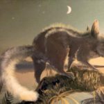 Cele mai străvechi mamifere