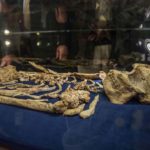 Australopithecus prometheus