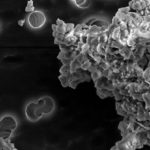 praf interstelar pe Pământ