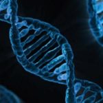 Transferul genelor printre specii