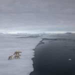 Efectul domino - încălzire globală - efectul de seră