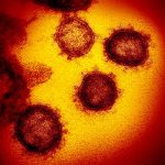 Vaccin pentru noul coronavirus