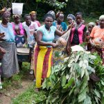 ADN "fantomă" a fost găsit în vest africani