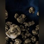 Bacterii ce se hrănesc cu metal