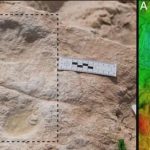 Urme de picioare umane vechi descoperite în Arabia Saudită