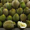 Fructe exotice - Durian