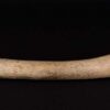 Femur de neanderthal