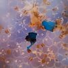microplastic în sarea de mare