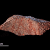 Cel mai vechi desen făcut de Homo sapiens